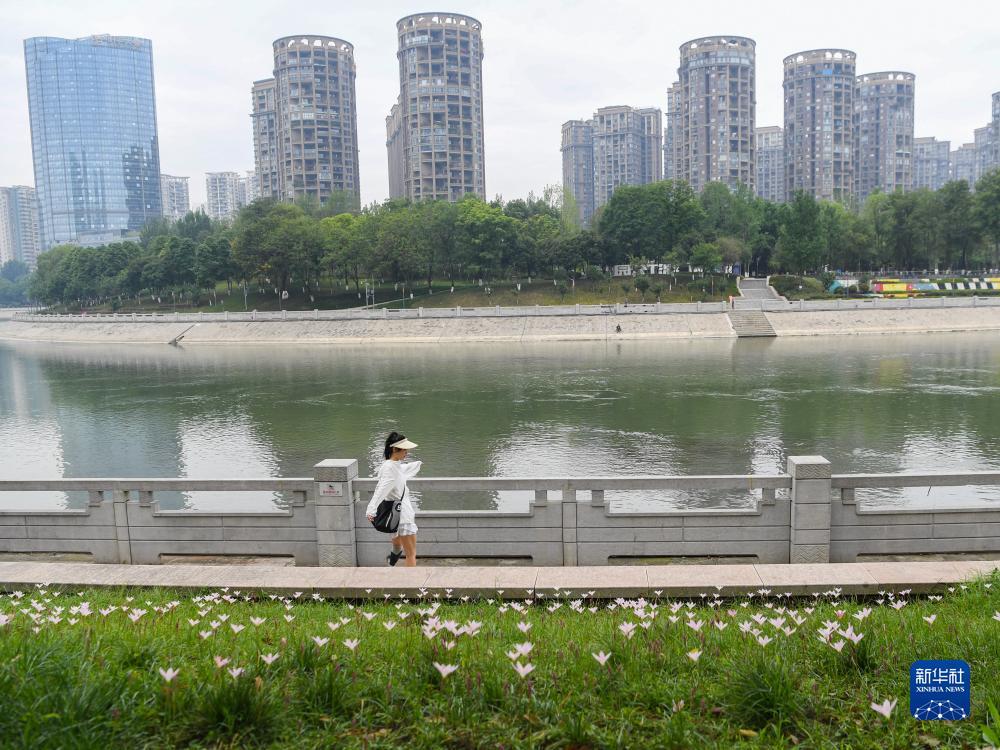 澳门普金论坛